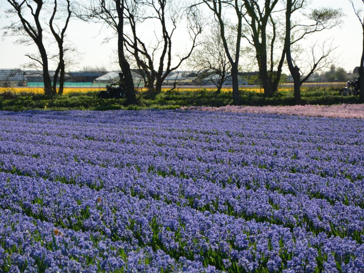 Cosy Holiday Home In Noordwijkerhout Near Lake 외부 사진
